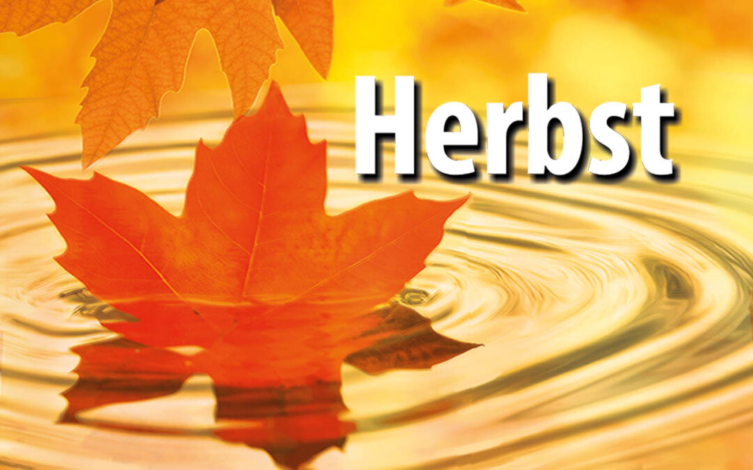 Der Herbst ist da!