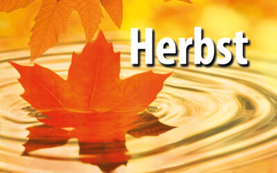 Der Herbst ist da!