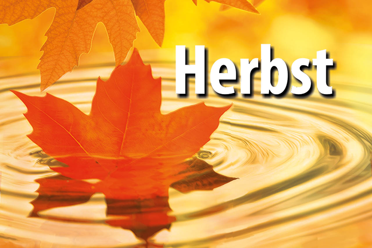Herbst Schiller Galerie